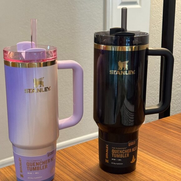 Stanley Other - Stanley X Target Exclusive WICKED For Good 2025 40oz ELPHABA and 30 oz Glinda